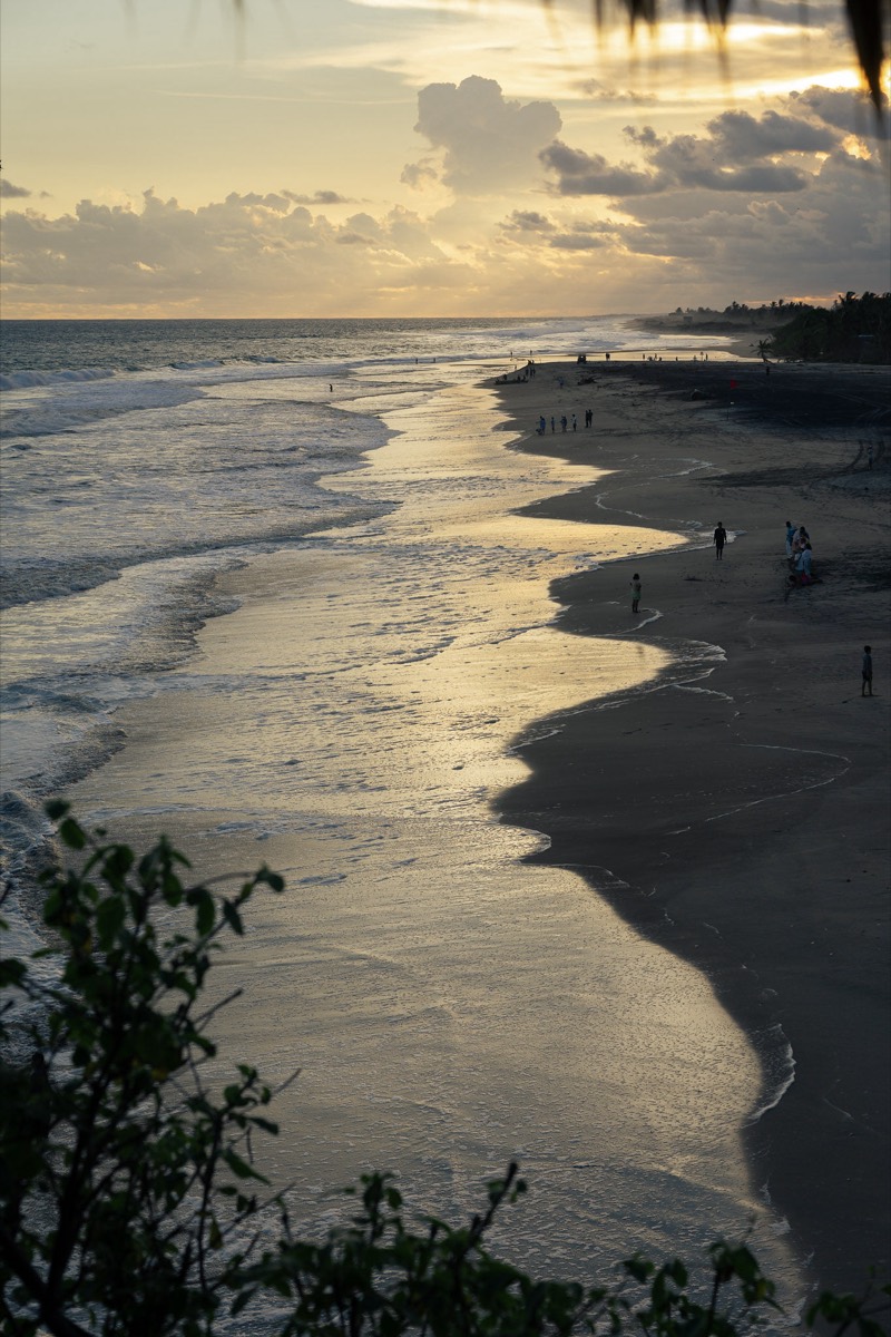 Playa dorada al atardecer